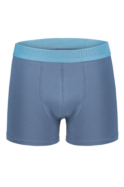 Efsi Indigo 3019 - Efsi Regular Lycra Cotton Boxers