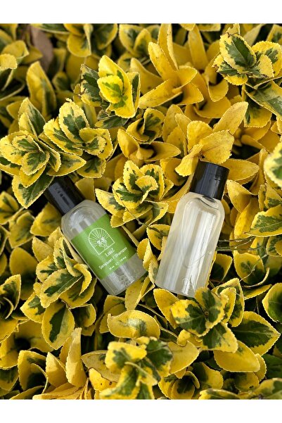 LUZ Otel Şampuanı 1 Adet 35 ml Tek Kullanımlık Mini Buklet Saç Temizlik Ürünü