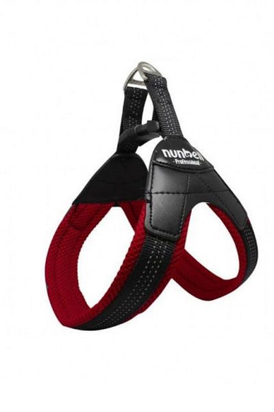 Nunbell Dog Collar No:3