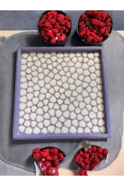 Lion Tasarim Mozai?k Sunum Tablasi