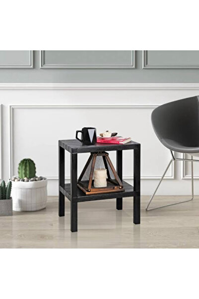 OMAŞ PLASTİK Ombeg Raf Ünitesi 2 Li Modern Raf 38x50x29