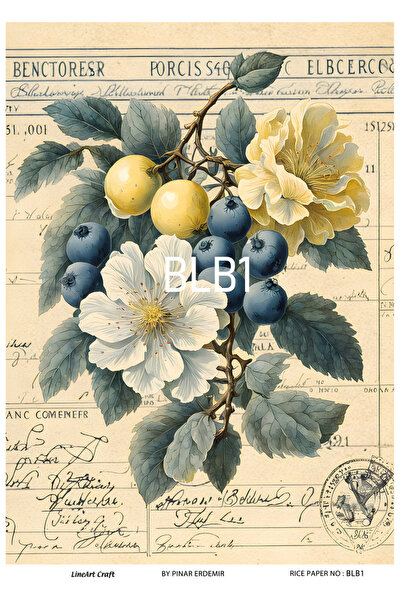LİNEART Blueberry Serisi Pirinc Dekopaj Kagıdı   No:BLB01