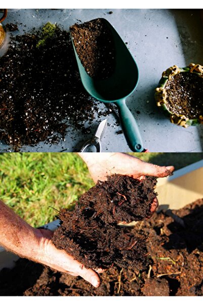 Yades 15 litre Bonsai Toprağı %100 Organik ve Katkısız Torf 17 Bitkinin Çözül...