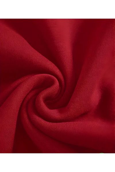 DEZZİİ Red High Collar Half Zipper Plain Pullover Sweatshirt