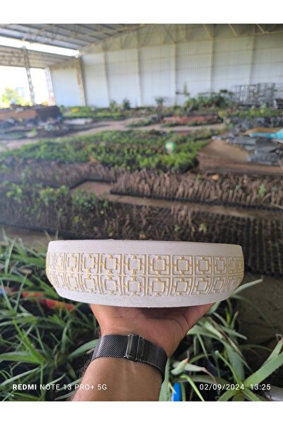Yades Kahire dizayn taş Orkide bonsai ve aranjman saksısı no 2