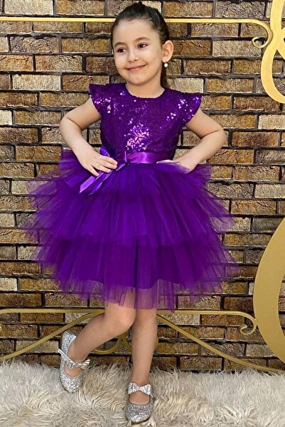 Riccotarz Girl's Sequined Embroidered Katkat Purple Evening Dress