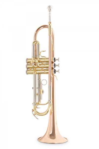 Roy Benson TR-202G Bb Trompet