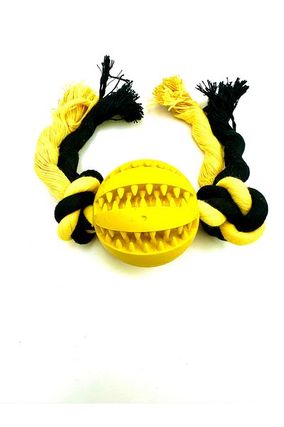 Tasma Market Prize Food Dental Floss Ball with Storage Tank Dog Training Toy