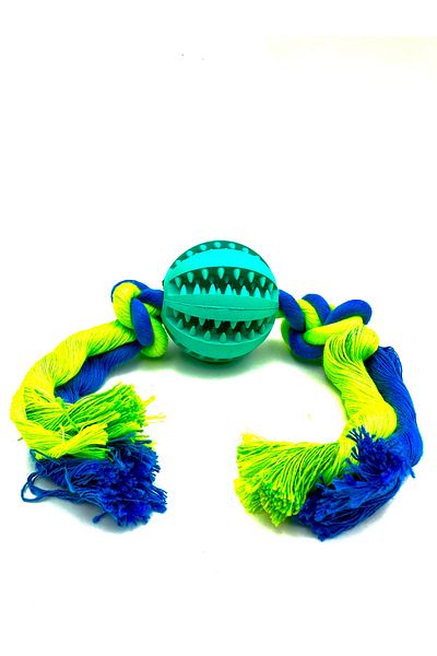 Tasma Market Reward Food Dental Floss Ball Dog Training Toy with Storage Compartment