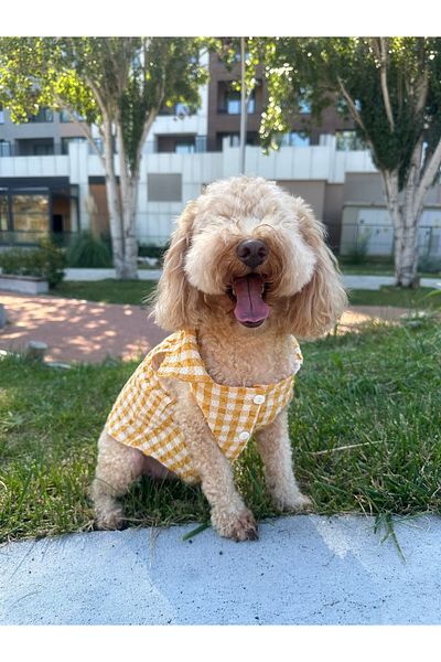 SayPuppy Small Breed Seasonal Yellow Muslin Dog Shirt
