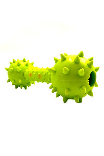 Tasma Market Dumbell Dog Training Toy with Anti-Teeth Scratching and Tartar Bells