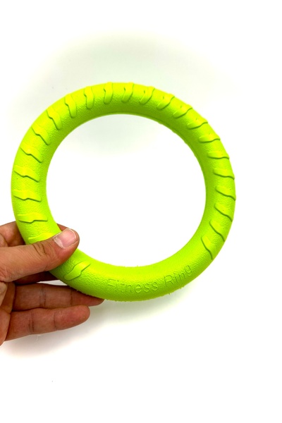 Tasma Market Yeşil Suda Batmaz Köpek Eğitim Halkası Oyuncağı