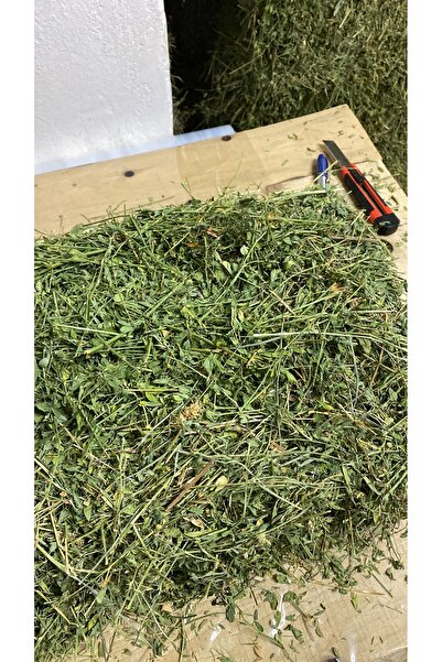 Güven Yem Yonca Kuru Kemirgen Otu 1 kg Bol Çiçekli