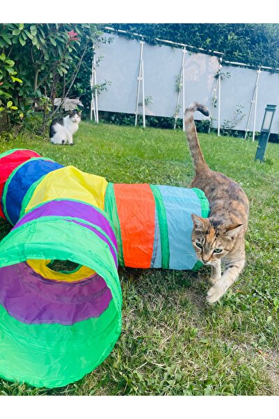 DEMİRHAN İTHALAT Evcil Hayvan Kedi Oyun Tüneli 3 Yönlü Üç Lü Katlanabilir Gökkuşağı Renkli