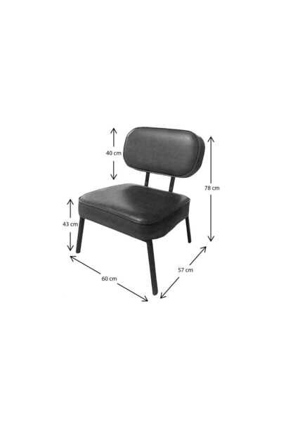 WATERYBROOK 2 Adet Luna Ofis-Bekleme Salonu Berjer - Tekli Koltuk - Bahçe - Siyah Metal - Deri