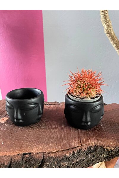 titanbaby Soyut Yüzler 2li Sukulent & Kaktüs Saksı