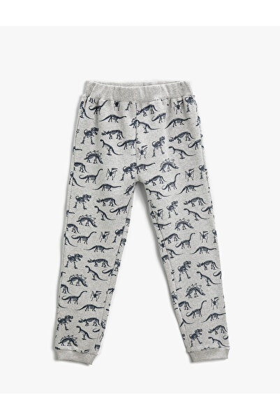 Koton Jogger-Jogginghose mit Dinosaurier-Print