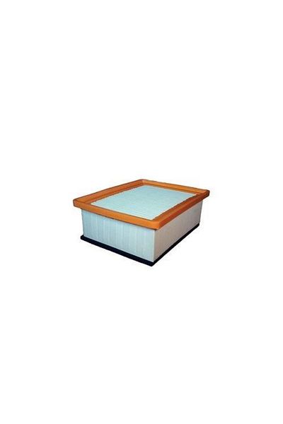 FUJI Citroen 02-03 Air Filter