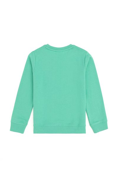 U.S. Polo Assn. Boy's Mint Basic Crew Neck Sweatshirt 50293474 -Vr152