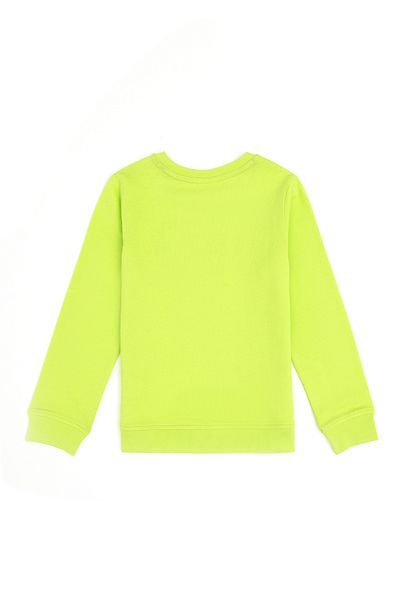 U.S. Polo Assn. Apple Green Boy's Sweatshirt - Crew Neck 50293474 -Vr020