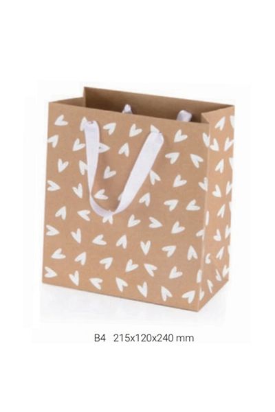 Gıpta GIPTA B4 Sansa Gift Cardboard Bag - BG08570