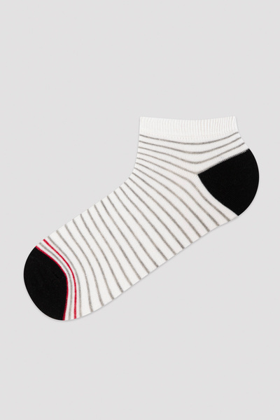Penti Men's Color Top 3-Piece Booties Socks