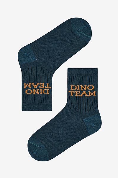 Penti Boy's Dino Team - Set of 3 Colorful Rib Socks