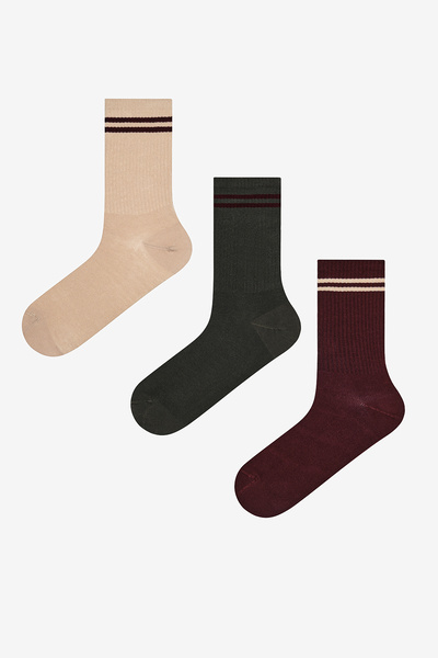 Penti Șosete pentru bărbați, verde maro - dungi colorate