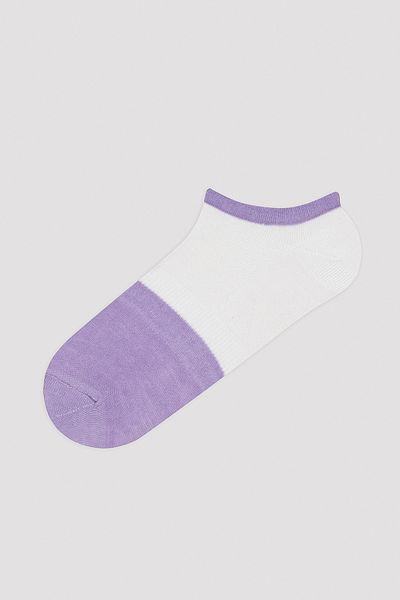 Penti Colorful Ankle Line 3-Piece Booties Socks