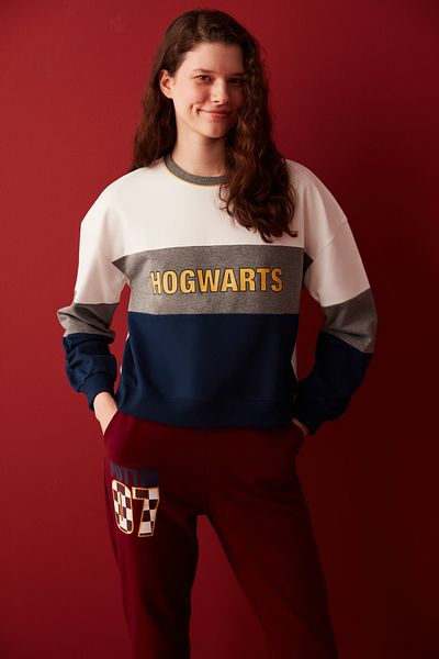 Penti Multicolored Block Sweatshirt-Harry Potter Collection