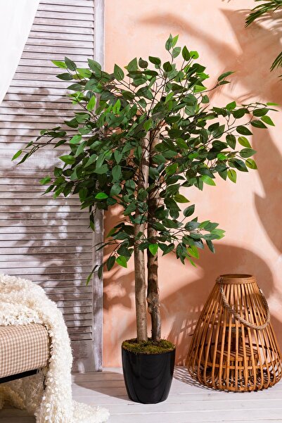 Güleç Yapay Çiçek Arborele Benjamin Artificial 130 Cm