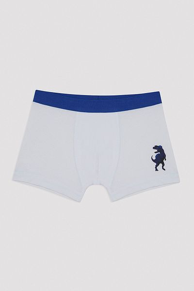 Penti Boy's Roar Team 2-Piece Boxers