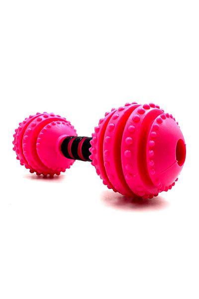 Tasma Market 12cm Reward Food Storable Teething Dog Training Toy with Bells