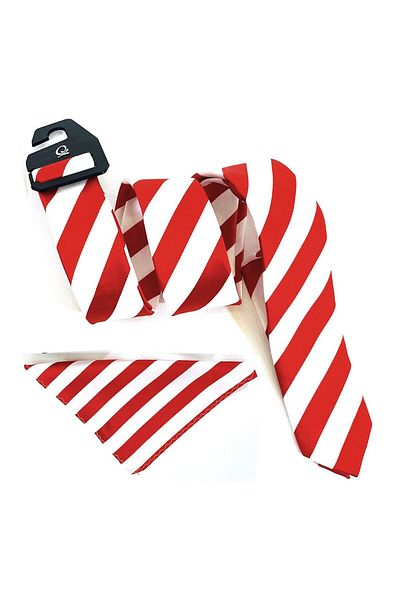 Shoes Center Red and White Children's Tie and Handkerchief Set