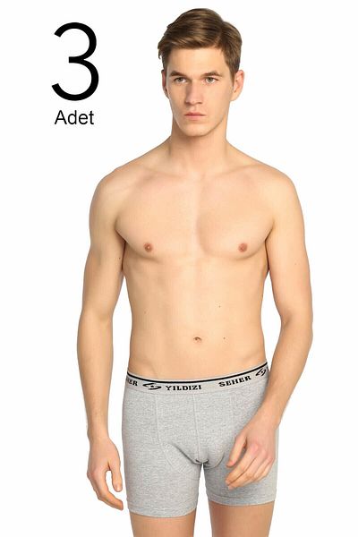 ENTAHA Ανδρικό γκρι 3 πακέτο Lycra Boxer