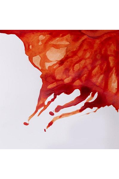Winsor Newton Tile Ink 14ml - Burnt Sienna