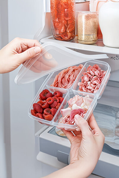 Milenay Refrigerator Storage Organizer with Lid, Suitable for Microwave and Freezer, 6 Pieces 400ml