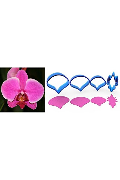Adana Pasta Malzemeleri Orchid Flower Set 4 Pieces Rp21107