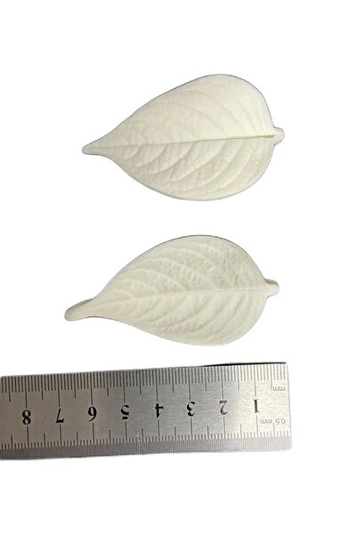 Adana Pasta Malzemeleri Bt-7036 Yaprak Damarlama Silikon Kalıp Model 1