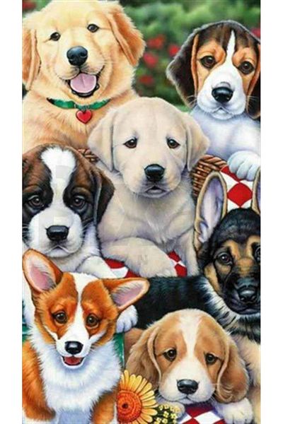 pixartsanat Friends Meeting Pixart Art Diamond Mosaic Painting Daimond Turkey 40*68
