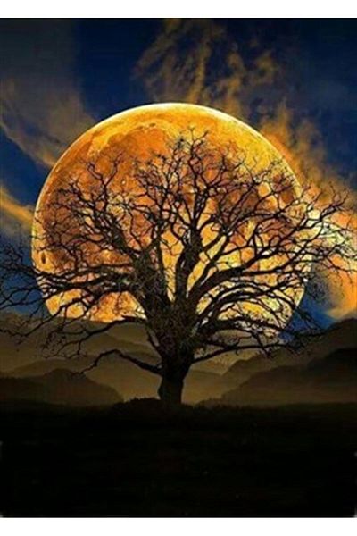 pixartsanat Tree and Full Moon on the Hill Pixart Art Diamond Mosaic Painting Diamond Türkiye 40*55