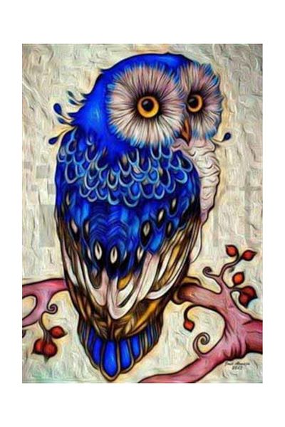pixartsanat Blue Furry Confused Owl Pixart Art Diamond Mosic Painting Daimond Türkiye38*53