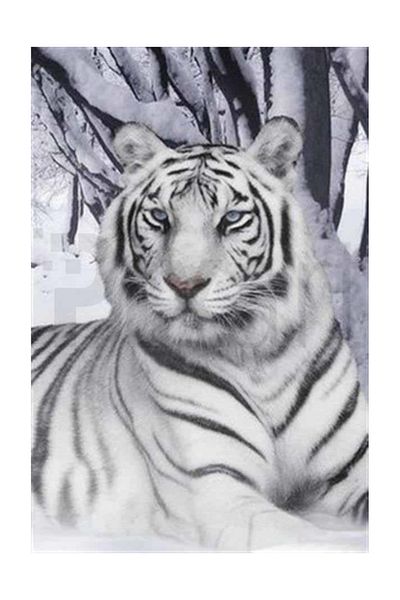 pixartsanat Noble Tiger Pixart Art Diamond Mosic Painting Daimond Turkey 35*53