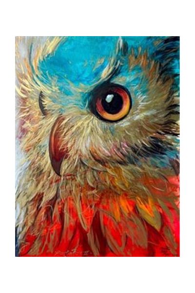 pixartsanat Owl Eye Pixart Art Diamond Mosic Painting Daimond Türkiye 55*73
