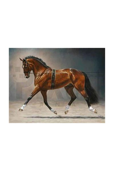 pixartsanat Bright Furry Noble Horse Pixart Art Diamond Mosaic Painting Diamond Turkey 66*53