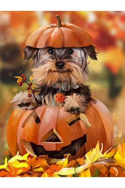 pixartsanat Pumpkin And Sweet Dog 40x60 PixArt Art Diamond Mosaic Painting Diamond Turkey