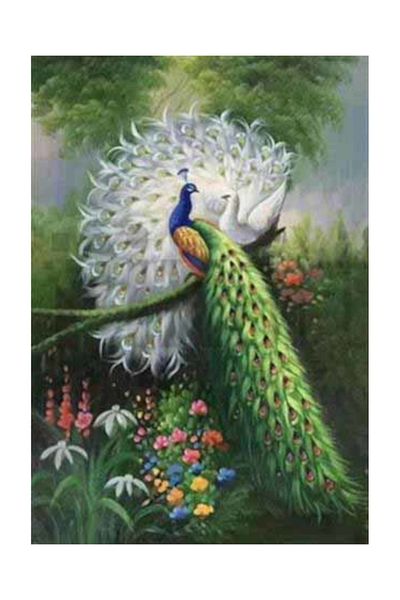 pixartsanat Perfectly Compatible Peacocks Pixart Art Diamond Mosaic Painting Diamond Turkey 55*81