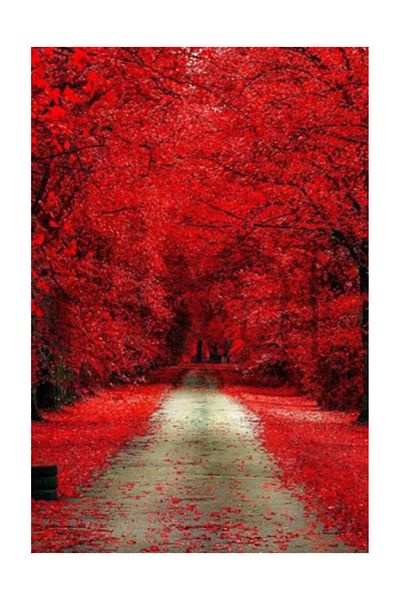 pixartsanat Red Road Pixart Art Diamond Mosaic Painting Diamond Türkiye 40*60