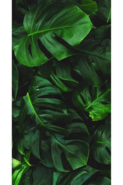 pixartsanat Green Leaf Pattern Pixart Art Diamond Mosaic Painting Diamond Türkiye 40*60