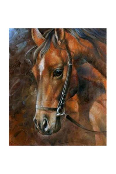 pixartsanat Brown Horse Pixart Art Diamond Mosic Painting Daimond Turkey 47*52